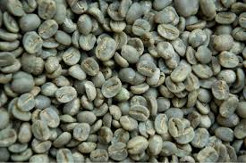 Arabica Green Coffee Beans Buy Arabica Coffee Bean Arabica Coffee Beans Product On Alibaba Com