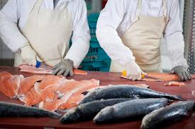 Fiche Metier Poissonnier Salaire Etude Role Et Competence Regionsjob Com