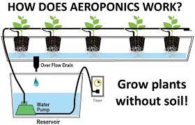 Diy Homemade Aeroponics System Grow Plants Without Soil Aquaponics System Aquaponics Aeroponics