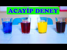 4 Gunde 6 Milyon Izlenen Deneyi Yaptim Zehirleniyordum Youtube Meyve Bilim Deneyleri Gunaydin