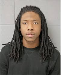 ᐅ Illinois Criminal Records 2009-2025