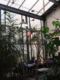 vegetation おしゃれまとめの人気アイデア pinterest kaleidoscope paris ヴィラ セーヌ川 ポール