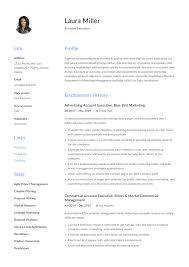 Account Executive Resume Template In 2020 Executive Resume Template Executive Resume Account Executive