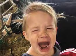 DURHAM FAIR Good. CleAn. wholesomE. Fun. 2015