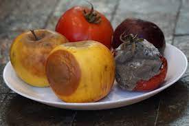 Avoiding Mold On Food
