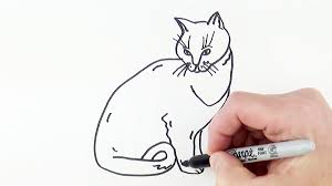 Hand drawing tutorial, easy trick by alicjanai. How To Draw A Cat Easy Art Tutorial For Beginners