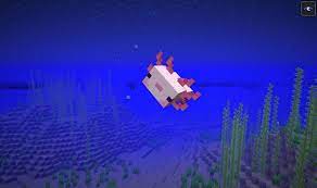 Dabei fragen sich viele spieler, ob man axolotl zähmen kann. Minecraft Axolotl Zahmen Futter Und Nutzen