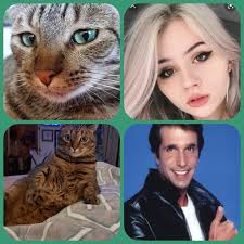 petchallenge﻿﻿ can you guess their names?