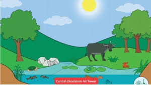 Habitat tumbuhan dan hewan adalah tumbuhan yang menjalar ontoh: Apa Itu Ekosistem Berikut Pengertian Ekosistem Tribun Lampung