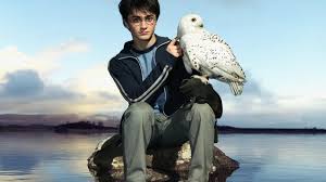 Iphone Harry Potter Hedwig Wallpaper 67 photos · curated by helen. iphone harry potter hedwig wallpaper