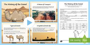 The main task that camelcamelcamel perfectly copes with implies setting price drop alerts. The History Of The Camel Activity Pack Teacher Made