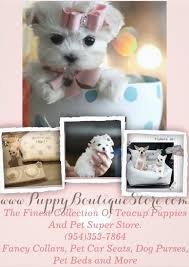The list is sorted by state and city. Puppy Boutique Store Home Facebook