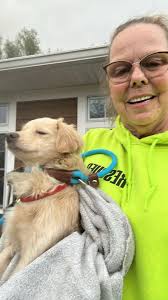 Pet Brandi safely captured in Firestone, Springfield, and RubberCity area