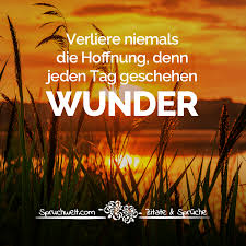 Verliere Niemals Die Hoffnung Denn Jeden Tag Geschehen Wunder Motivierende Spruche