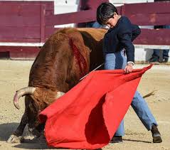 El niño 'prodigio' del toreo llega a Arenas | Noticias Diario de Ávila