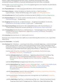 Image result for Pseudechinolaena