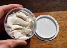 Snus en nicotinezakjes | Gezond Leven