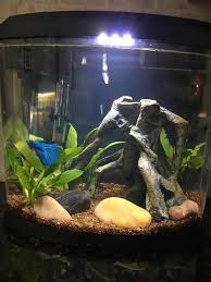 My divided betta tank setup/split betta fish tank (15 gallon) in this video we're going to show my divided betta tank setup. Top Fin Liquidy Split Aquarium Kit Fish Starter Kits Petsmart