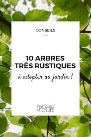 Et bien sûr aussi, il est ces palmiers nains sont vraiment très semblables au palmiers classiques dans leur résistance au froid. 10 Arbres Tres Rustiques Et Resistants Au Froid Promesse De Fleurs