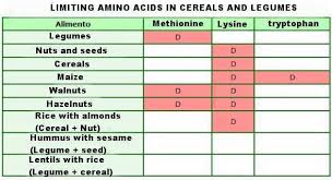 amino acids that are missing in cereals legumes and other