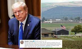 Trump Says Us Will Start Buying 3billion Of Agricultural Goods From Farmers To Give To Food Banks Daily Mail Online