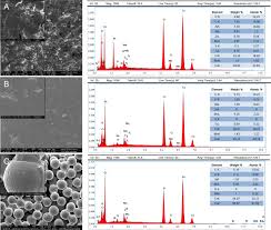 Modifications to the chevrolet cobalt are fairly popular. Cocrmo Surface Modifications Affect Biocompatibility Adhesion And Inflammation In Human Osteoblasts Scientific Reports