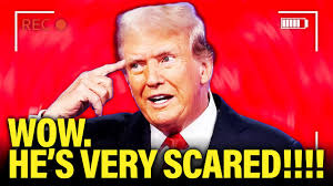 tRump's terror shows he's not sure he can steal the election: plus, things  we can do