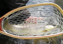 Maison de la pêche et de la nature. Infos Pratiques Pour Pecher En Catalogne Travelers And Fish