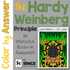 Learn vocabulary, terms and more with flashcards, games and other study tools. Hardy Weinberg Activity Worksheets Teachers Pay Teachers