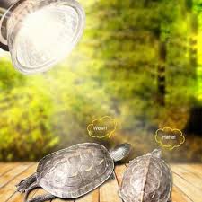 Uvb 3 0 Reptile Lamp Bulb Turtle Basking Uv Light Bulbs Heating Lamp Amphibians Lizards Temperature Buy At A Low Prices On Joom E Commerce Platform