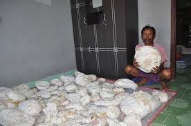 Ambergris, which is actually whale vomit, can produce an odorless alcohol which can be extracted to make a perfume's scent last longer. Treasure Of Whale Vomit The Whale S Vomit Price Could Reach Hundreds Of Millions Per Kilogram Steemit