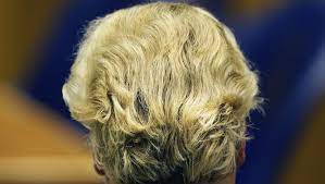 The latest tweets from geert wilders (@geertwilderspvv). Waarom Is Het Haar Van Geert Wilders Blond De Volkskrant