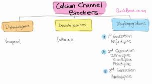 Image result for Calcium Channel Blocker
