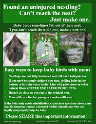 Pin On For The Animals