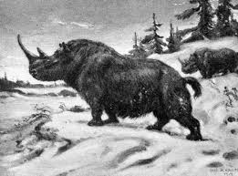14 Extinct Animals That Could Be Resurrected Extinct Animals Rhinoceros Prehistoric Animals