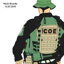 What does coe stand for? Art Pmce Brasil Pmce Coe