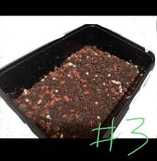 But, it's a great way to save money and get the perfect soil blend for your particular varieties and growing to make a balanced succulent soil, mix one part organic materials from the left column with two parts mineral materials from the right. 2l Succulent Soil Cactus Soil Potting Mix For Succulents Cactus Philodendron Gardening Plants On Carousell