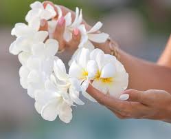 Hawaiian Flower Necklace