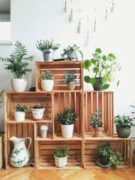 Composizioni Con Piante E Cassette Di Legno 20 Bellissime Idee Ispiratevi Idee Per Interni Decorazioni Vegetali Decorazione Di Stanze