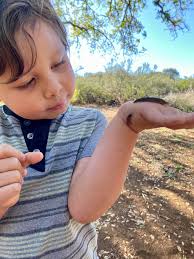 Elementals Preschool in Georgia has Openings for 2025/2026 School Year