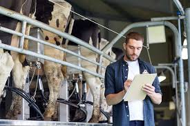 View job description, responsibilities and qualifications. Livestock Buyer Salary How To Become Job Description Best Schools
