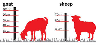 6.woven wire fence when a secure barrier is needed to keep small calves in and. Electric Fencing For Sheep Electric Fencing Direct