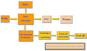 Process Flow Diagram Orange Juice Wiring Diagram Page