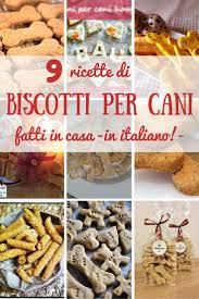 Gli ingredienti che vi occorrono sono questi e ricordate che le varianti sono tre, al pollo, al salmone, al tonno, quindi scegliete quello che il vostro cucciolo preferisce: 9 Ricette Di Biscotti Per Cani Fatti In Casa In Italiano Biscotti Per Cani Fatti In Casa Biscotti Per Cani Cibo Per Cani Fatto In Casa
