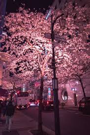 Japan Aesthetics On Twitter Aesthetic Japan City Aesthetic Japan