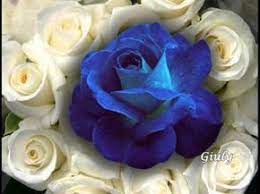 Certamente vuoi augurarle buon compleanno ma mandarle anche un messaggio di amore puro e passionale. Pin Su Auguri Di Buon Compleanno