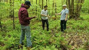 Meet mark firth, the owner and chief farmhand of the bell & anchor, a farm to table restaurant located up in great barrington, ma. Escape The City Bell Anchor A Little Bit Of Brooklyn In The Berkshires Food Curated