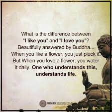 Maybe you would like to learn more about one of these? 105 Buddha Quotes You Re Going To Love Dreams Quote