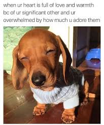 17 Memes You Ll Understand If You Re In A Healthy Loving Relationship This collection of wholesome relationship and dating memes is the perfect list to send your significant other to let them know just how great you think they are; healthy loving relationship
