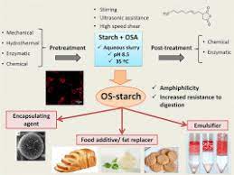 Synthesis And Characterization Of Octenyl Succinic Anhydride Modified Starches For Food Applications A Review Of Recent Literature Sciencedirect